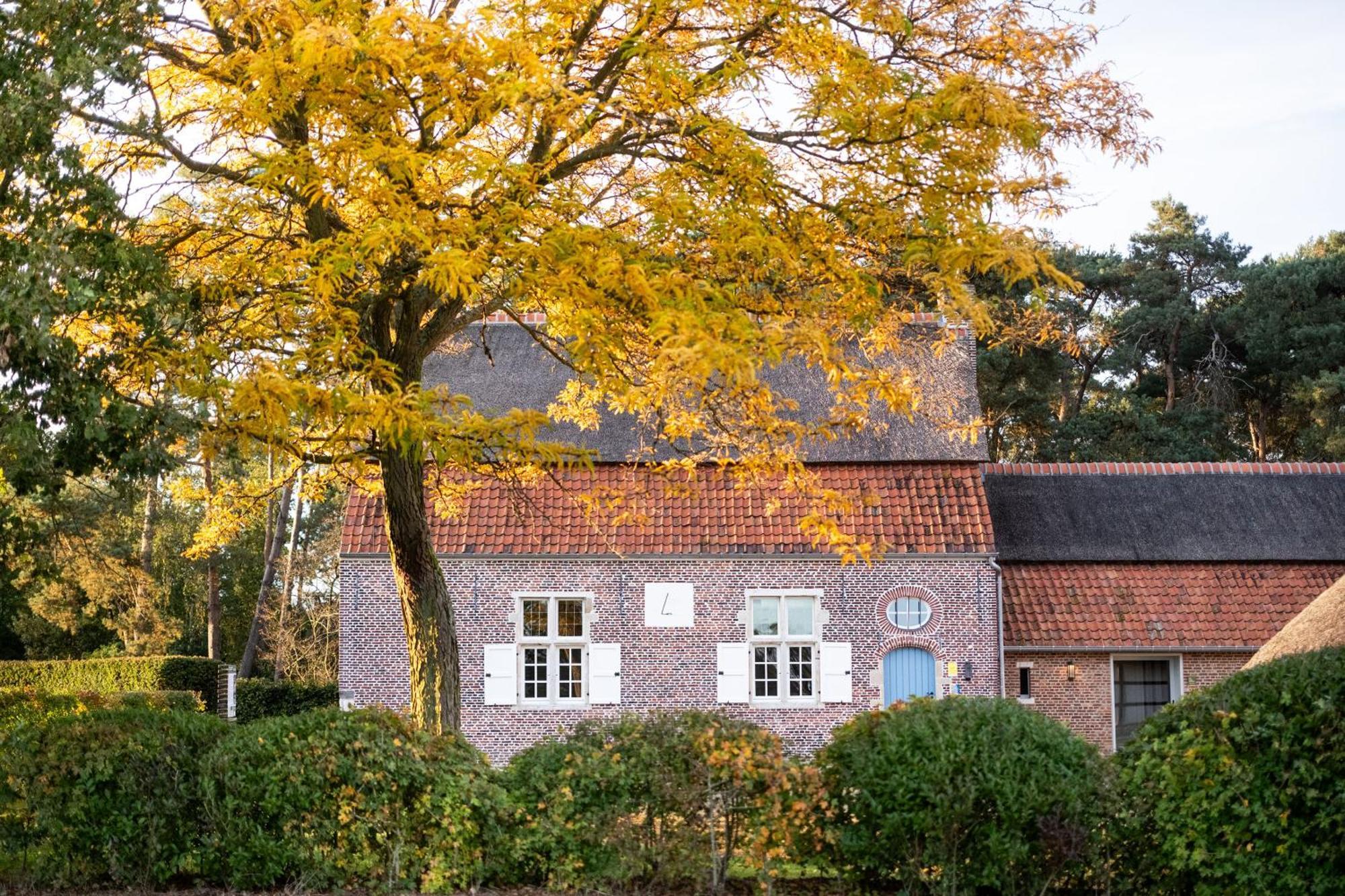 Beddermolen - Molenhuis Op Historisch Erfgoeddomein Вестерло Экстерьер фото